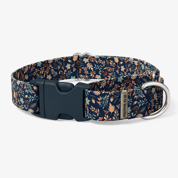 front view of collar front view of collar